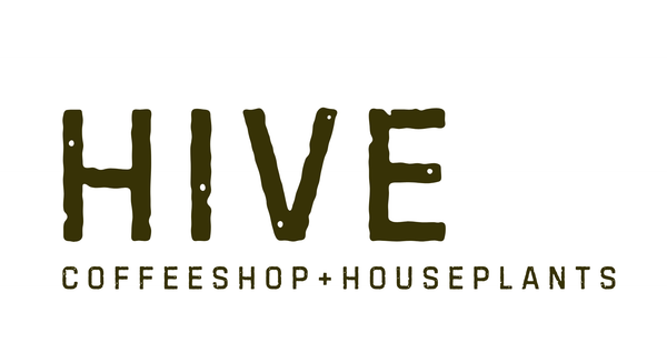 Hive Coffee Shop